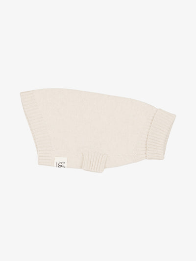 Ivory dog sweater in regenerated cashmere