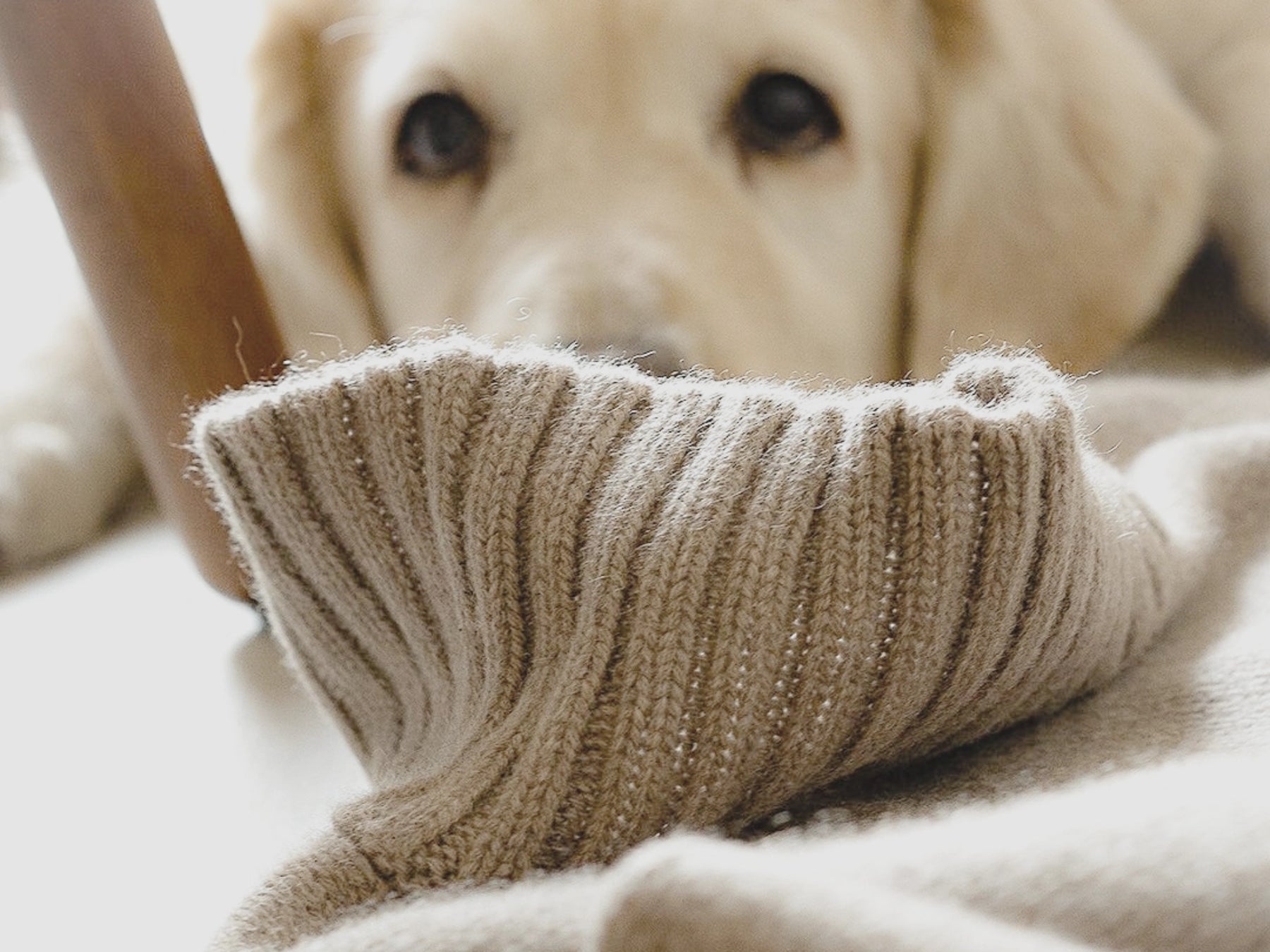 Cashmere knitwear ready for a second life